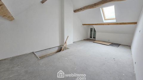 photo no. 10