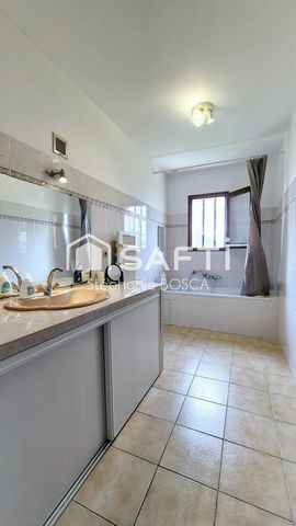 photo no. 14