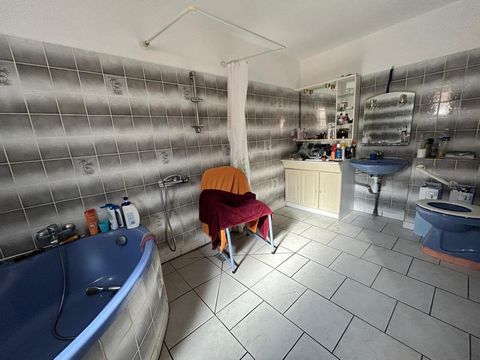 photo no. 11