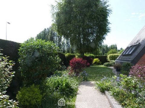 photo no. 17