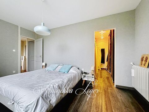 photo no. 8