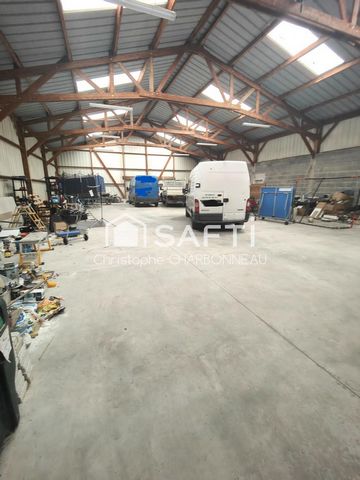 photo no. 9