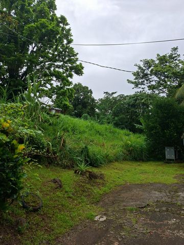 photo no. 2
