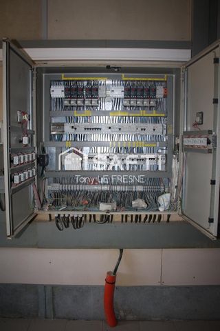 photo no. 12