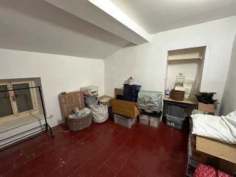 photo no. 10