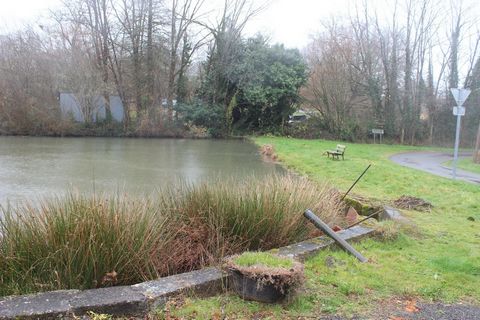 photo no. 13