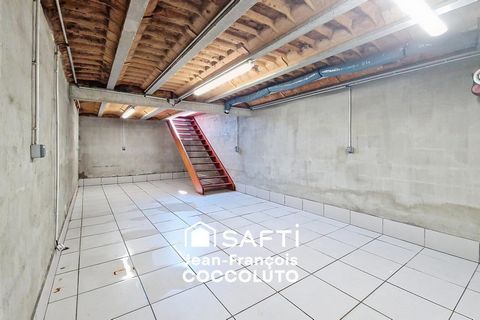 photo no. 11