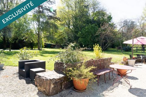 photo no. 11