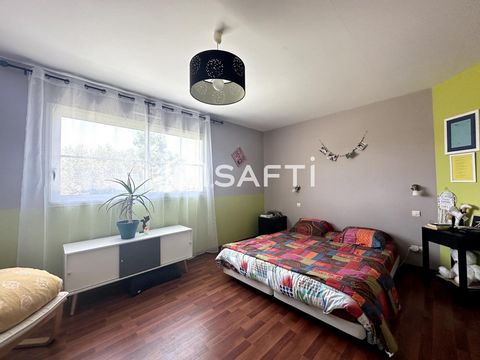 photo no. 6