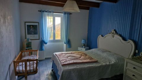 photo no. 9