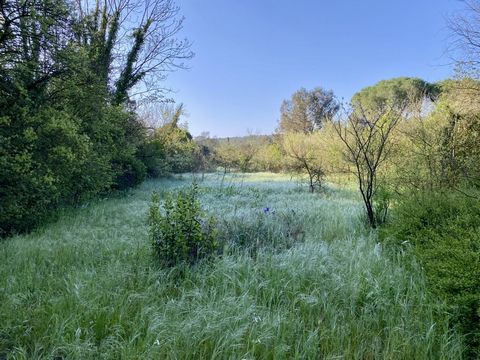 Terrain boisé 3 787 m² - Projet de villa +200 m² à Clapiers