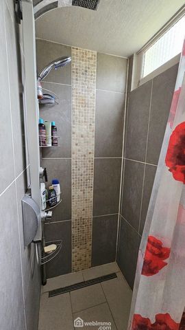 photo no. 11