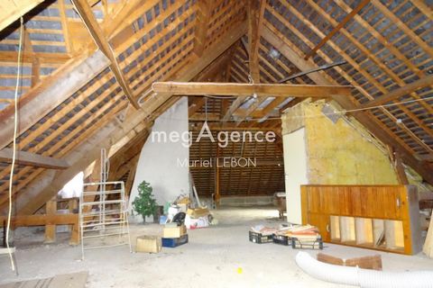 photo no. 10