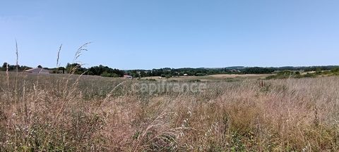 Terrain constructible à vendre de 1 800 m² Flaugeac (24240)