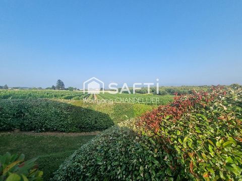 photo no. 11