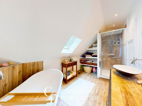 photo no. 7