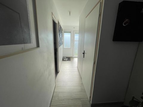 photo no. 6