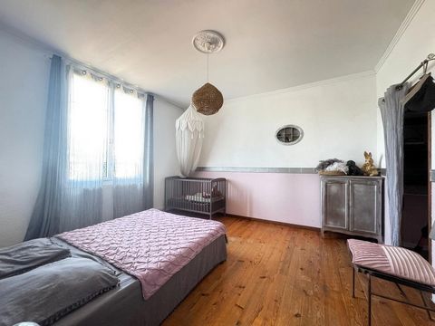 photo no. 9