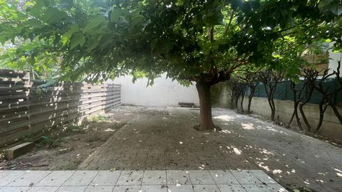 photo no. 2