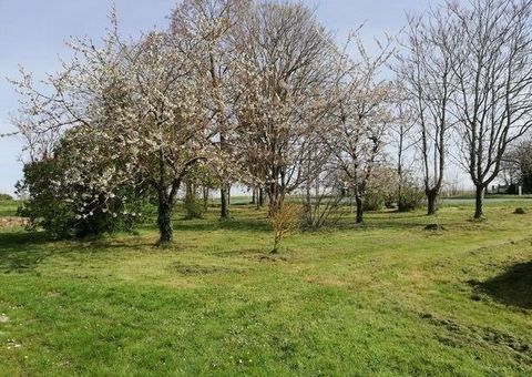 A 15 minutes de Blois/Villebarou. TERRAIN A BATIR 1579 m2, libre constructeur. Avec une GRANGE de 50 m2 environ.