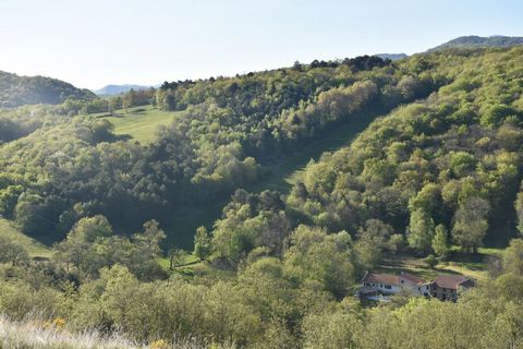 photo no. 1