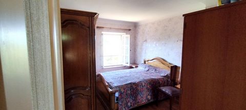 photo no. 13