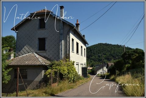 photo no. 1