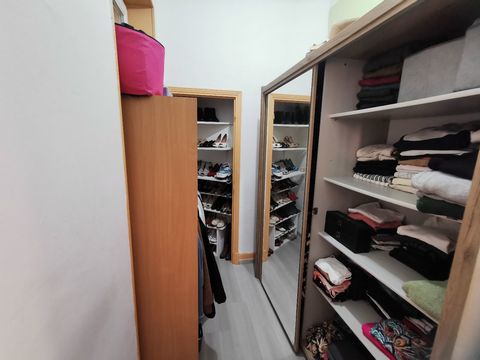 photo no. 8
