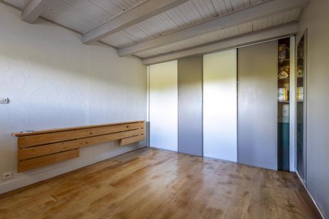 photo no. 11