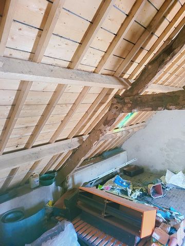 photo no. 4