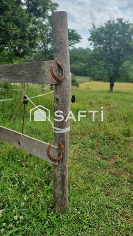 photo no. 11