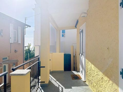 photo no. 6