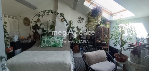 photo no. 15