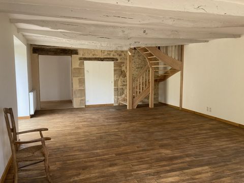 photo no. 6