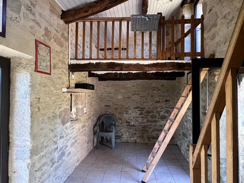 photo no. 12