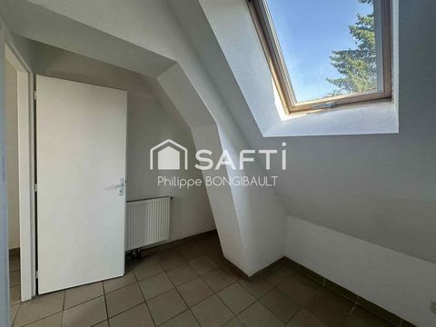 photo no. 8