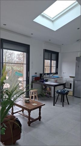 photo no. 10