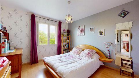 photo no. 10