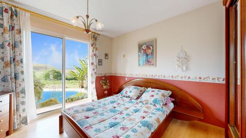 photo no. 11