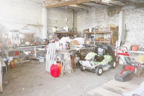 photo no. 12