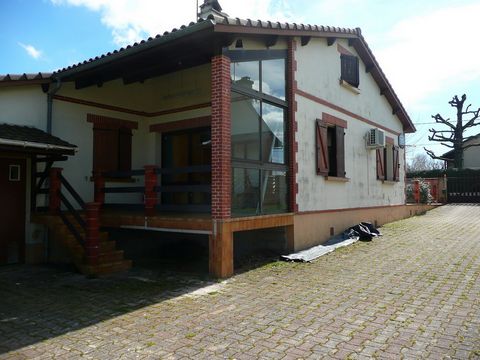 photo no. 8