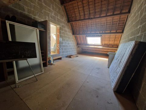 photo no. 13