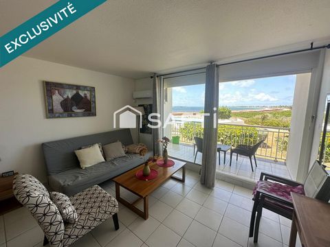 Studio 1er ligne - Splendide vue mer