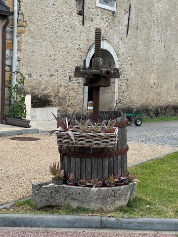 photo no. 10