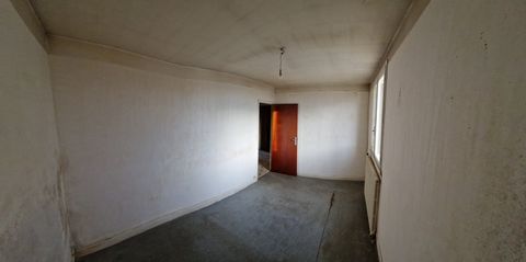 photo no. 9