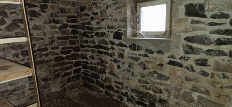 photo no. 13