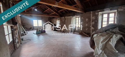 photo no. 11