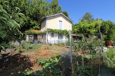 photo no. 18