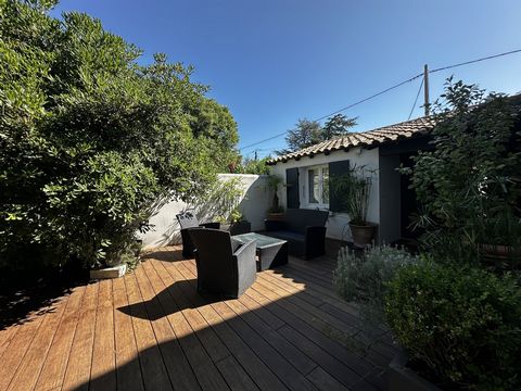 photo no. 14