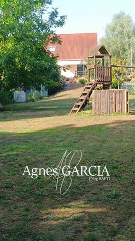 photo no. 11